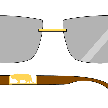 "DHD" Sunglasses